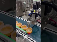 स्वचालित मेकअप बेस भरने की मशीन SUS304 गियर पंप हीटेबल