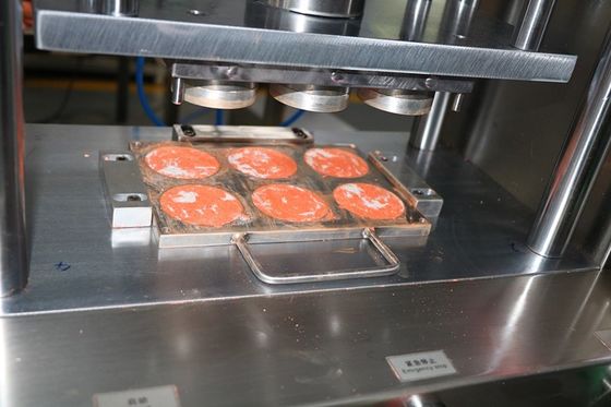 6 छेद सीएनसी एल्यूमीनियम मोल्ड्स के लिए आकार गीला पाउडर 1 साल की वारंटी